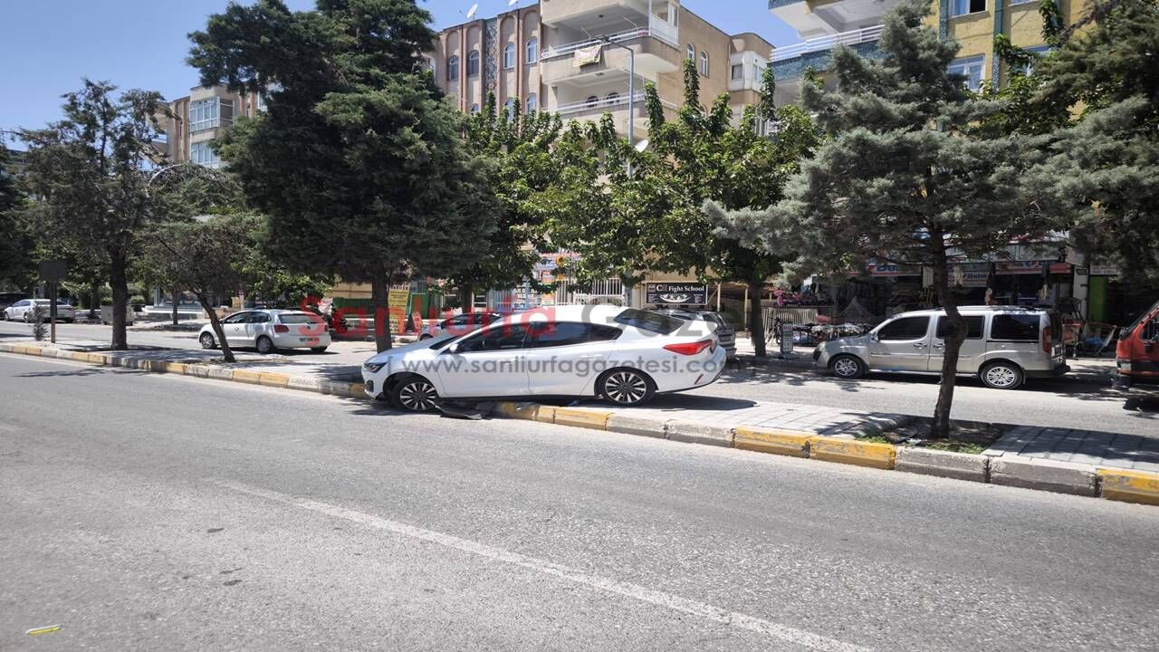 Şanlıurfa'da kontrolden çıkan otomobil orta refüje çıktı