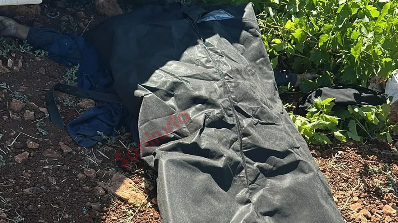 Şanlıurfa'da feci kaza: 1 ölü, 1 yaralı!