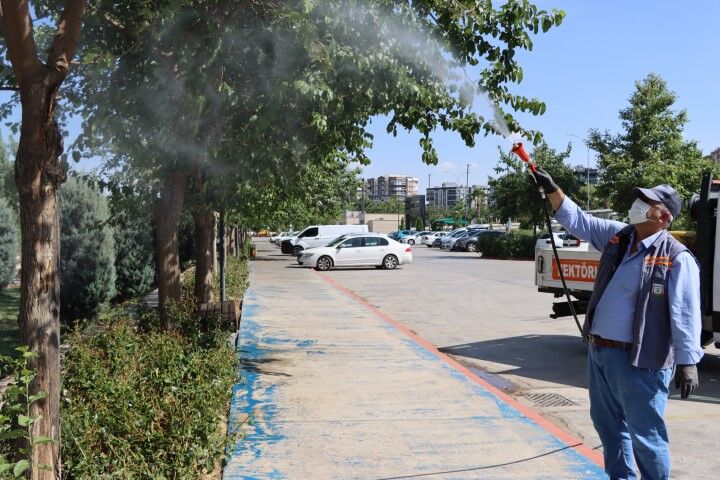 Şanlıurfa'da Haşereye Karşı Alarm! Büyükşehir Gece Gündüz Sahada