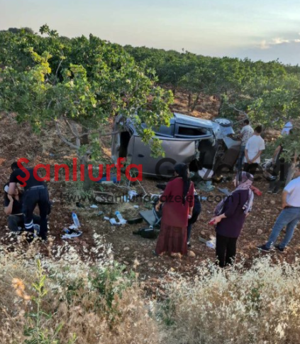 Şanlıurfa'da Otomobil Fıstık Tarlasına Devrildi: 3 Kadın Yaralandı