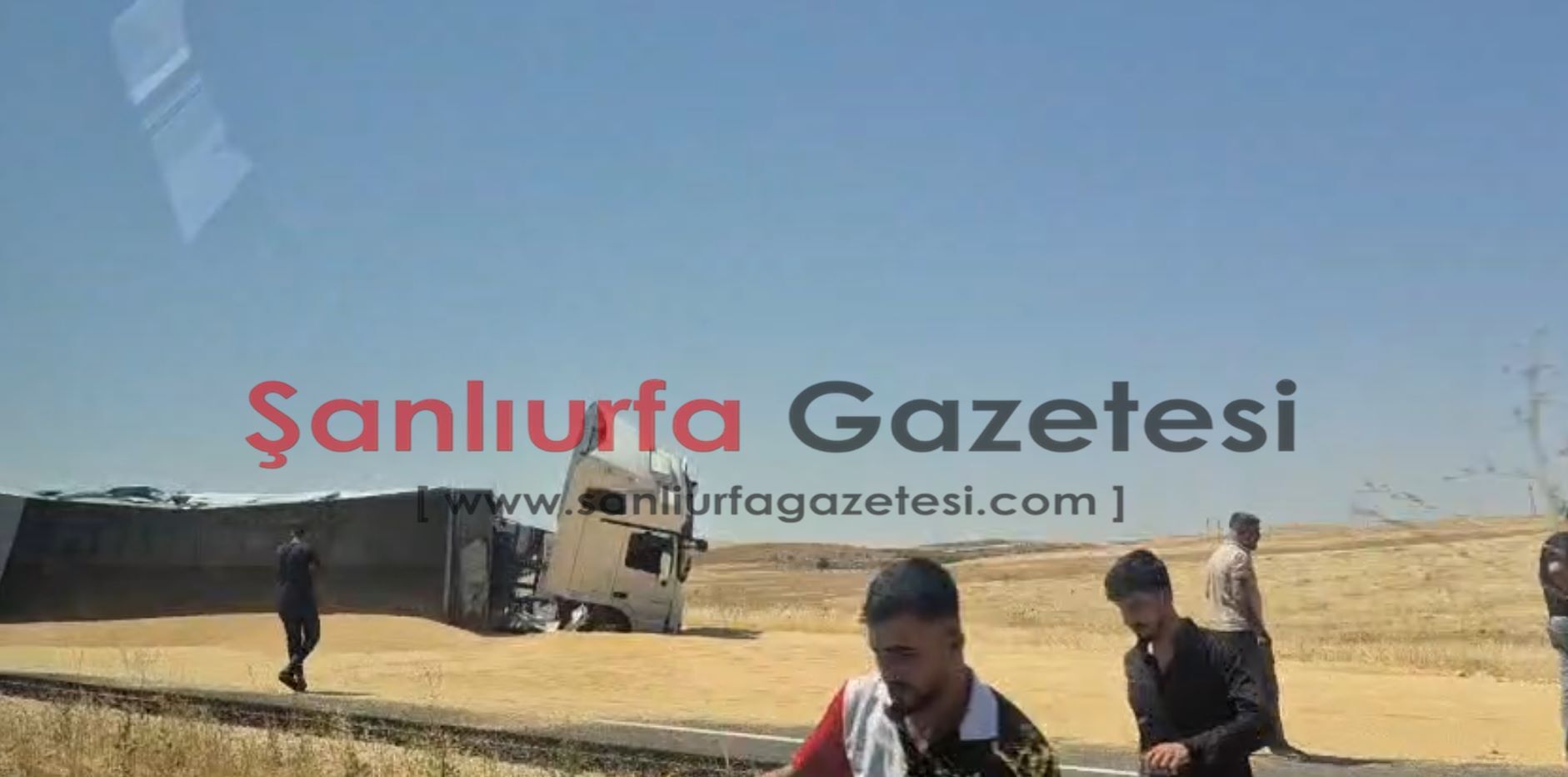 Şanlıurfa'da buğday yüklü kamyon devrildi