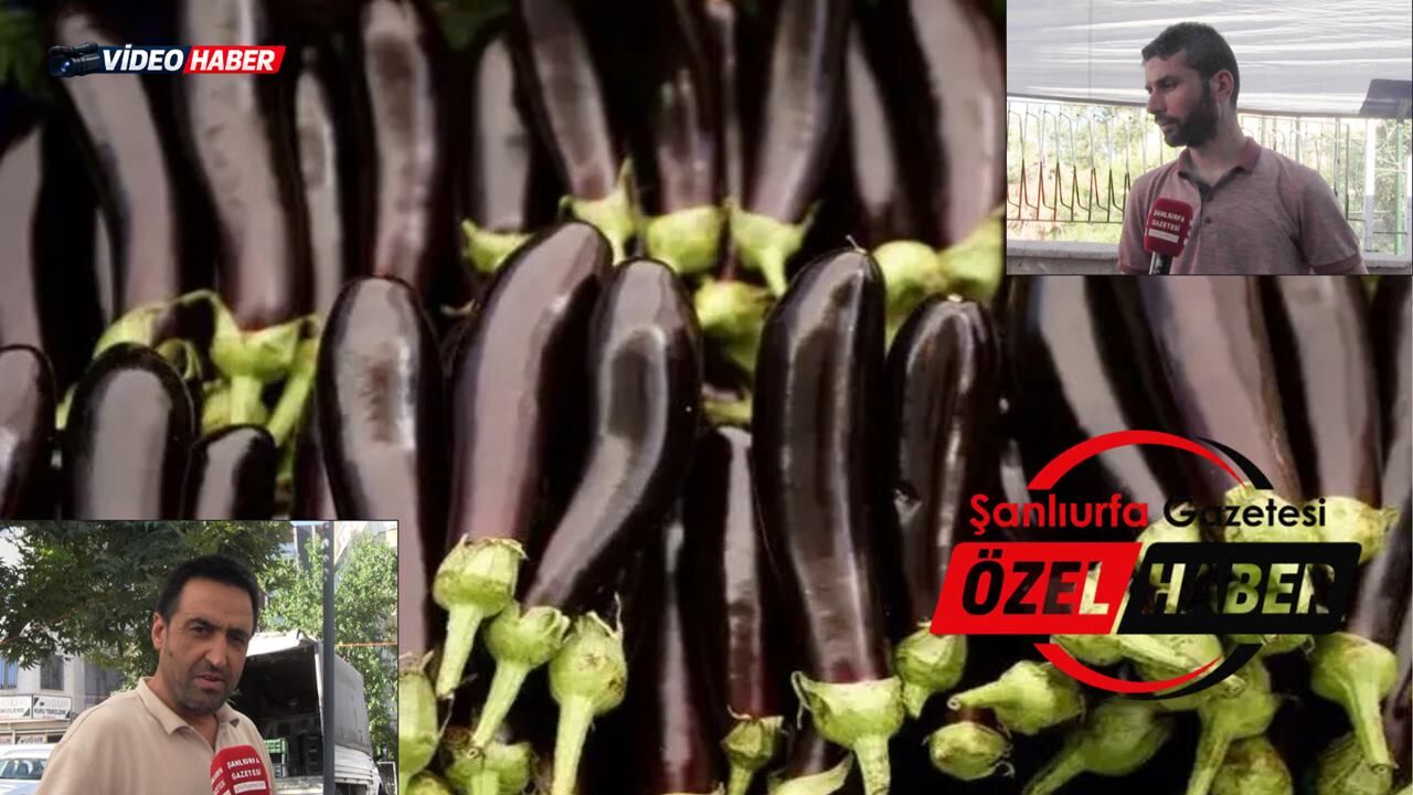 Yaz geldi, Şanlıurfa'da patlıcan kebabı sezonu başladı