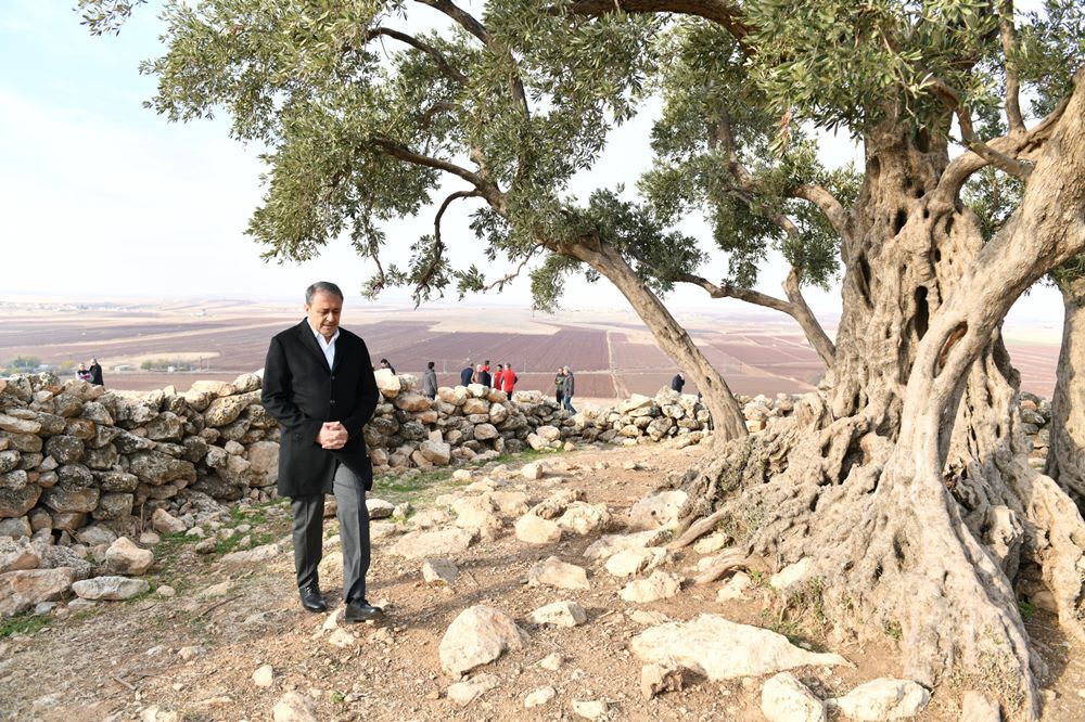 Şanlıurfa’nın asırlık bereket çınarına, Şanlıurfa Valiliğinden özel dokunuş