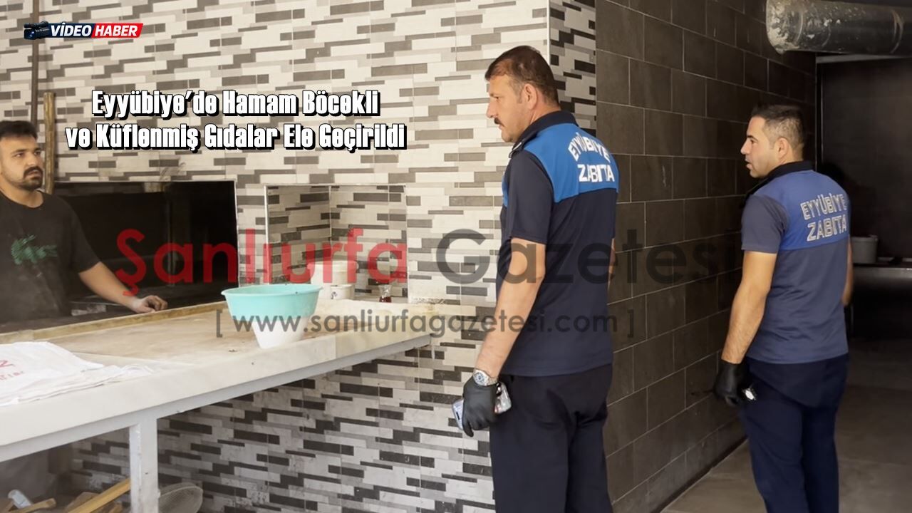 Hindistan Sokak Lezzetleri Değil, Şanlıurfa Sokakları! Eyyübiye'de Skandal Görüntüler!