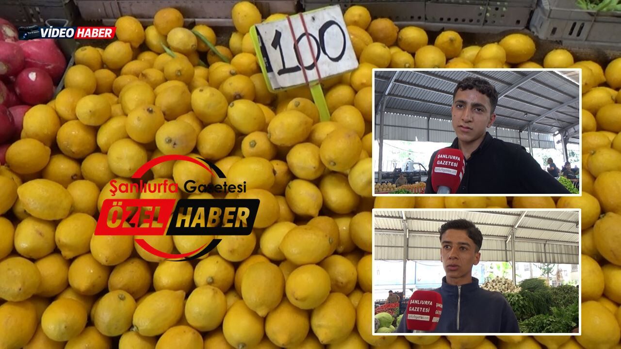 Şanlıurfa'da Limon Cep Yakıyor: Vatandaş Kiloyla Değil, Taneyle Alıyor