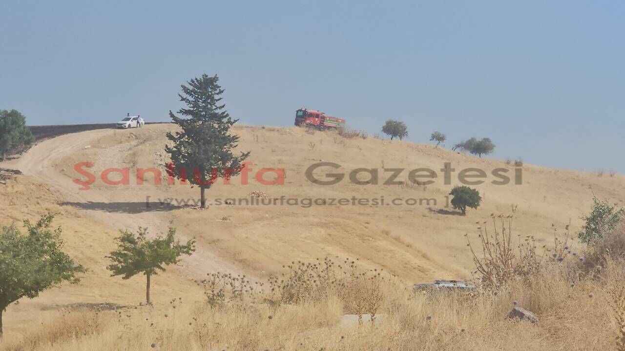 Yangın-7