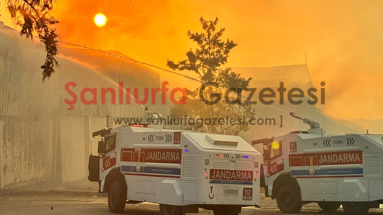 Yangın Fotgo