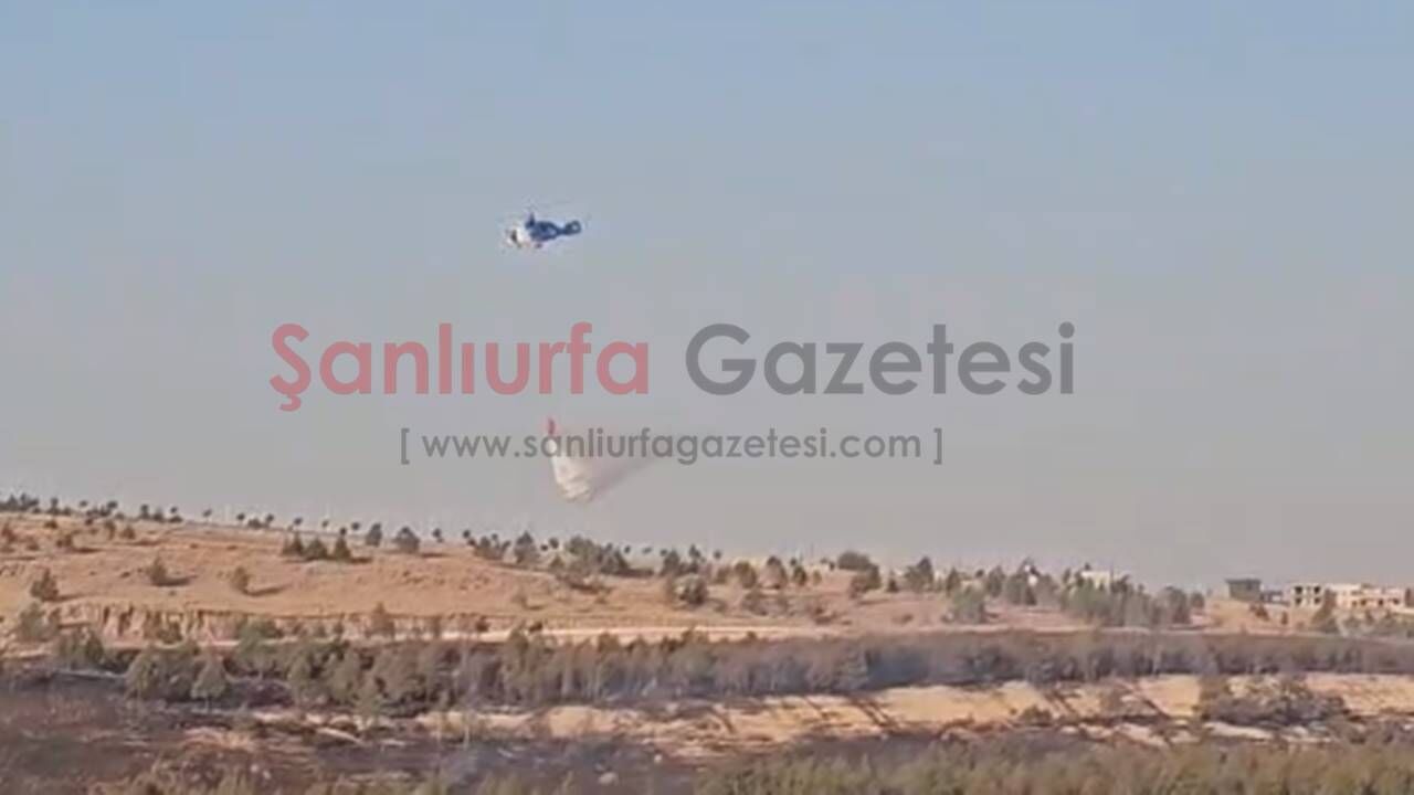 Şanlıurfa GAP Vadisi'ndeki orman yangınına helikopter destekli müdahale