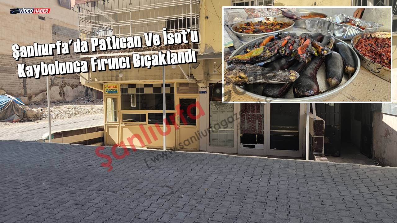 Şanlıurfa'da Patlıcan Ve İsot’u Kaybolunca Fırıncı Bıçaklandı