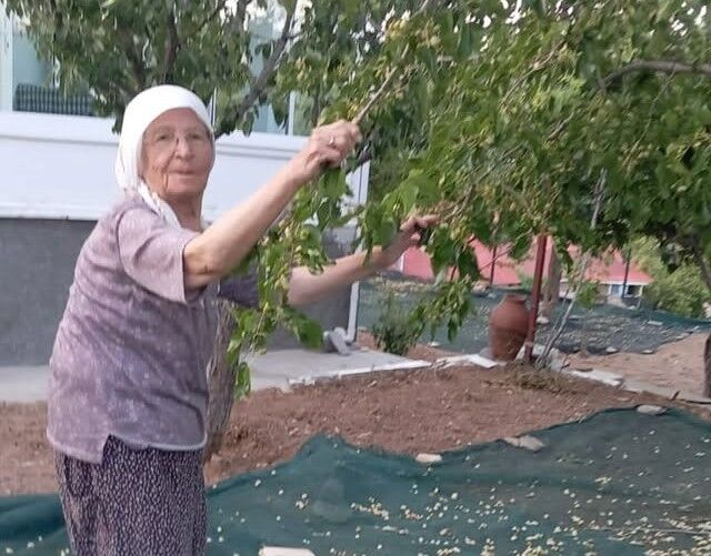 "Dutlar Heba Olmasın" Diyerek Pekmez Üretiyorlar