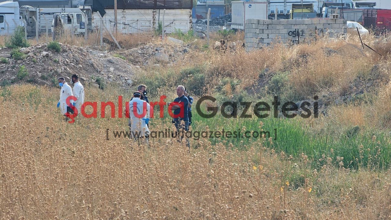 Şanlıurfa’da boş arazide hareketsiz bulundu: Ölümü araştırılıyor