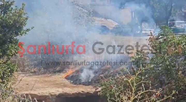 Şanlıurfa'da Parktaki Otluk Alanda Yangın Paniği