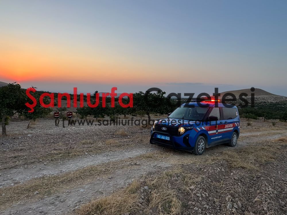 Jandarma Fıstık Bahçeleri 1