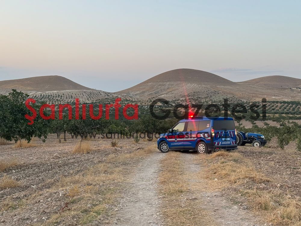 Jandarma Fıstık Bahçeleri 3