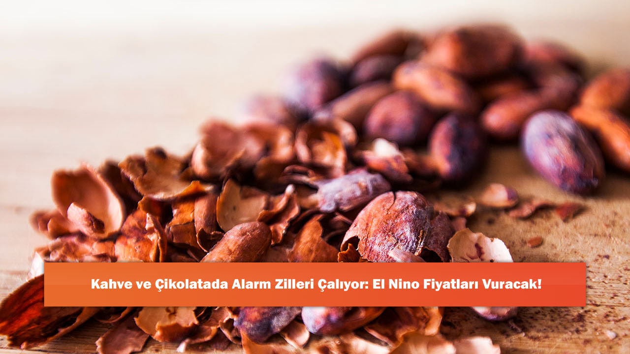 Kahve ve Çikolatada Alarm Zilleri Çalıyor: El Nino Fiyatları Vuracak!