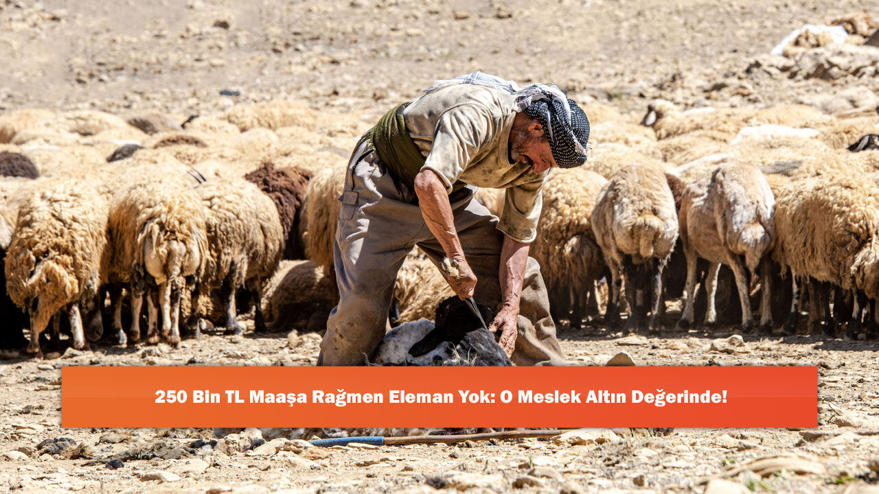 250 Bin TL Maaşa Rağmen Eleman Yok: O Meslek Altın Değerinde!