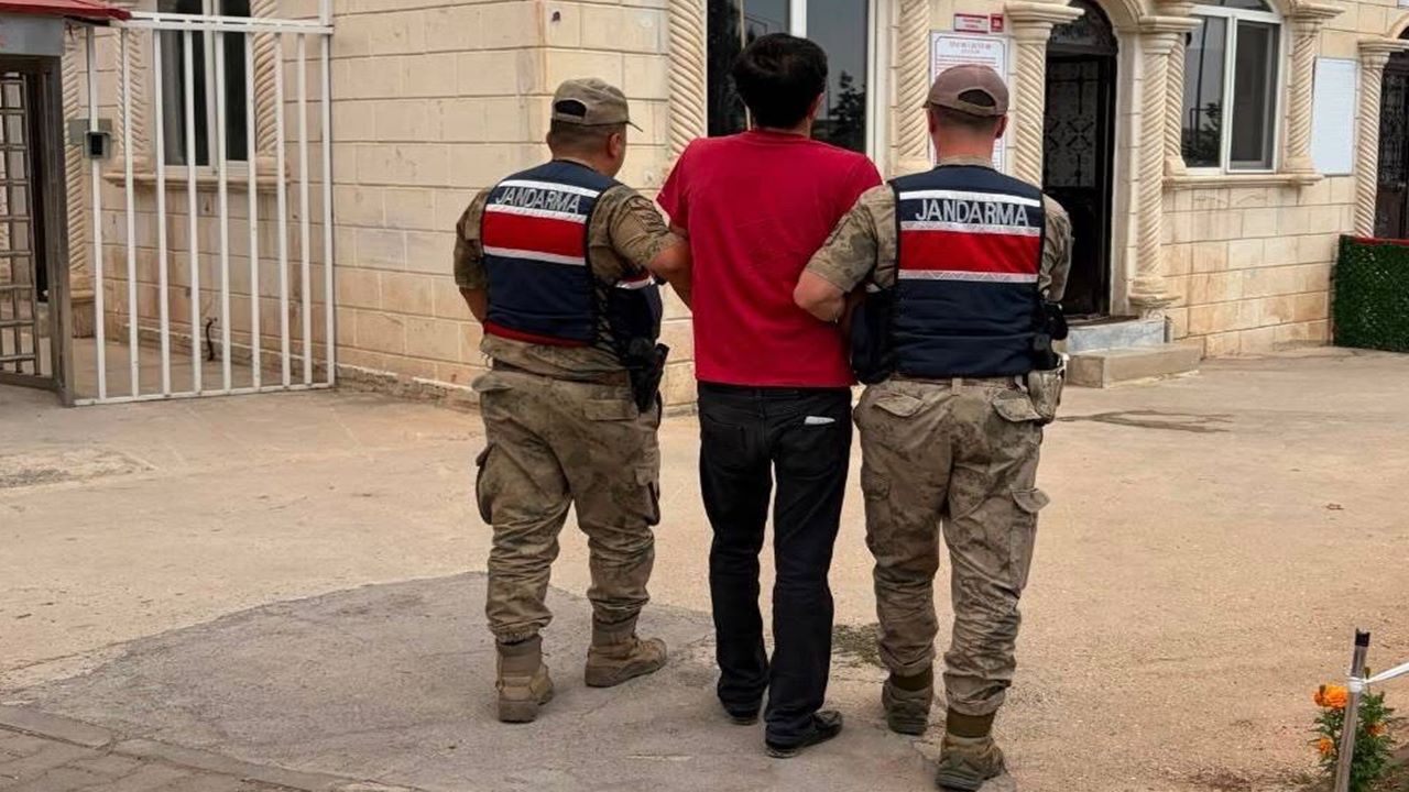 Şanlıurfa'da hücre operasyonu: Operasyonların detayı belli oldu!