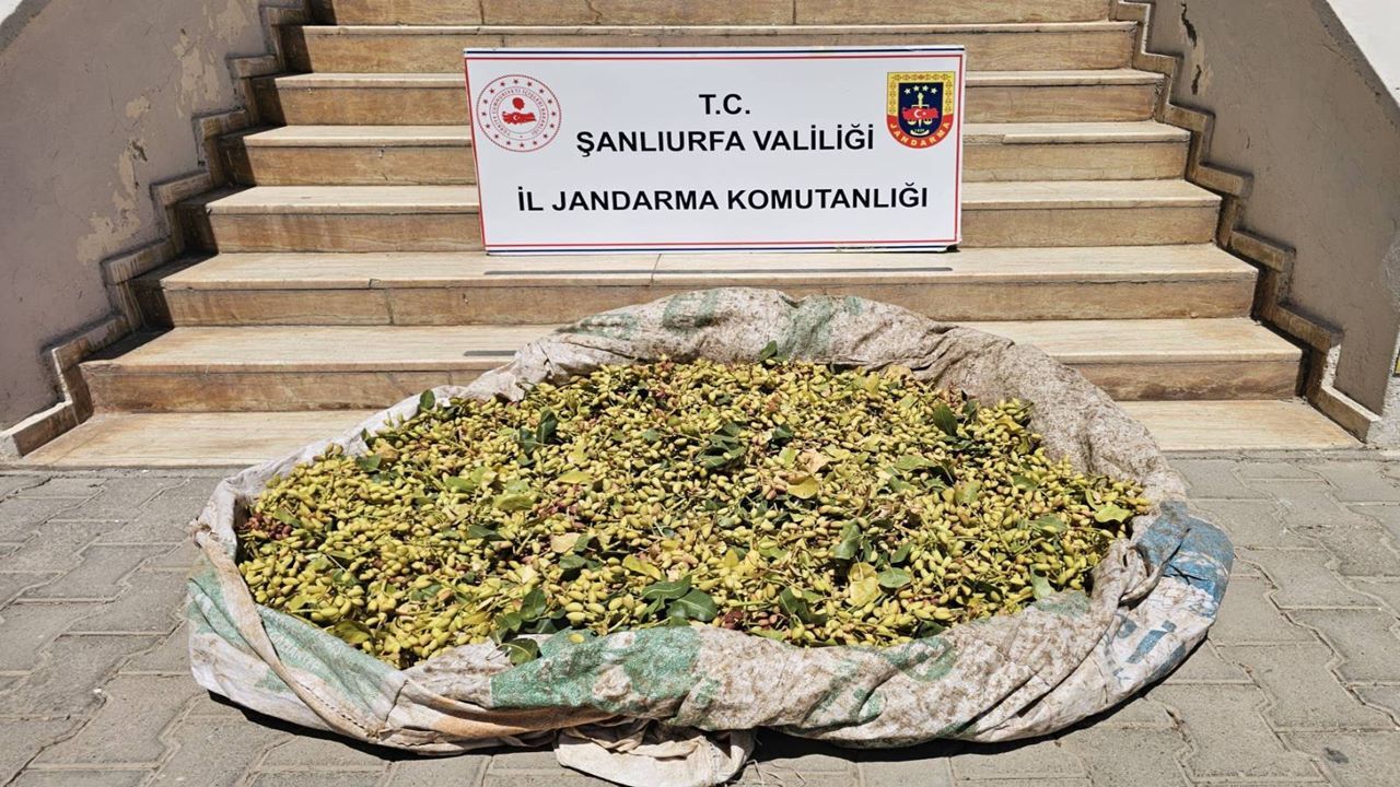 Şanlıurfa’da Jandarma ve JASAT’tan ortak operasyon: 4 gözaltı