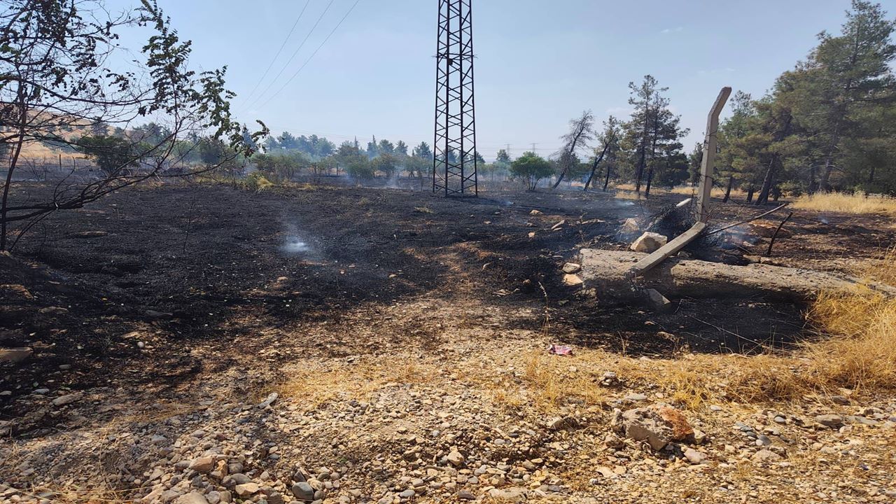 Şanlıurfa’da Anız Yangını Kısa Sürede Söndürüldü