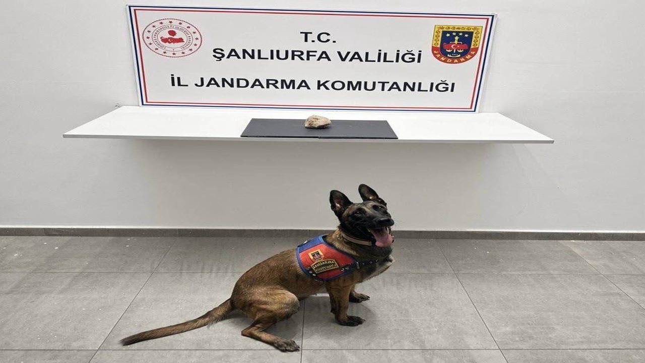 Şanlıurfa’da uyuşturucu simsarlarına operasyon: 1 gözaltı!