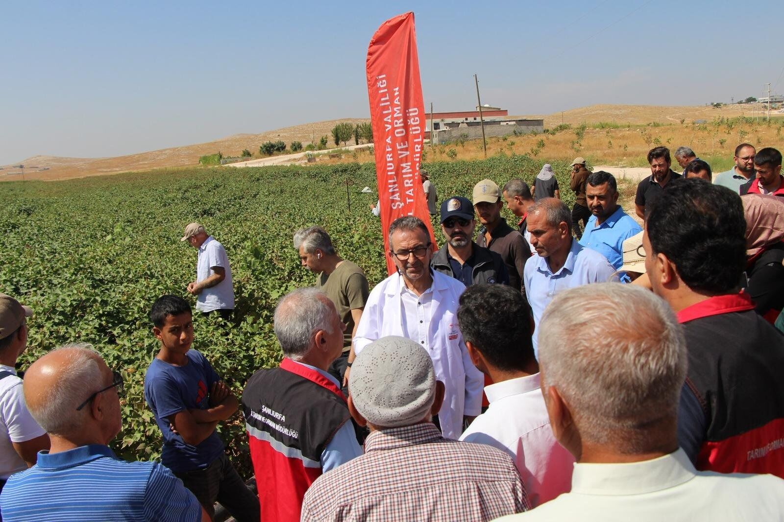 Şanlıurfa’da Pamuk Tarlalarında Uygulamalı Eğitim Verildi