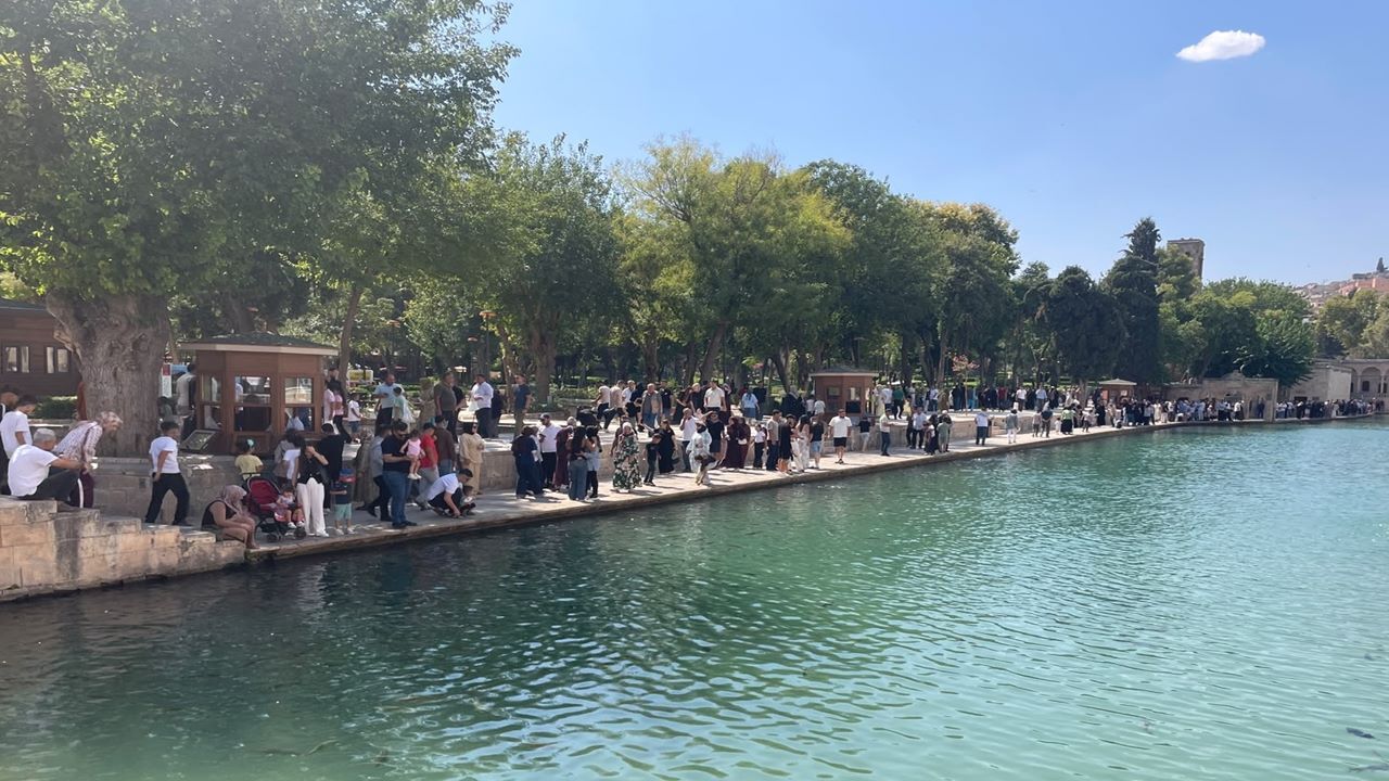 Görenler gözlerine inanamadı: Şanlıurfa'da tarihi gün, sebebini duyan şaşırıyor!