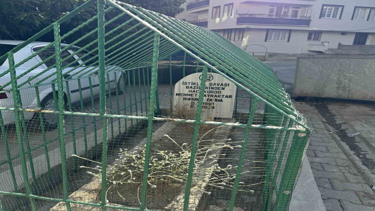 Şanlıurfa'nın komşusunda görenler bir kez daha dönüp bakıyor: Şehrin göbeğinde tek başına duruyor!