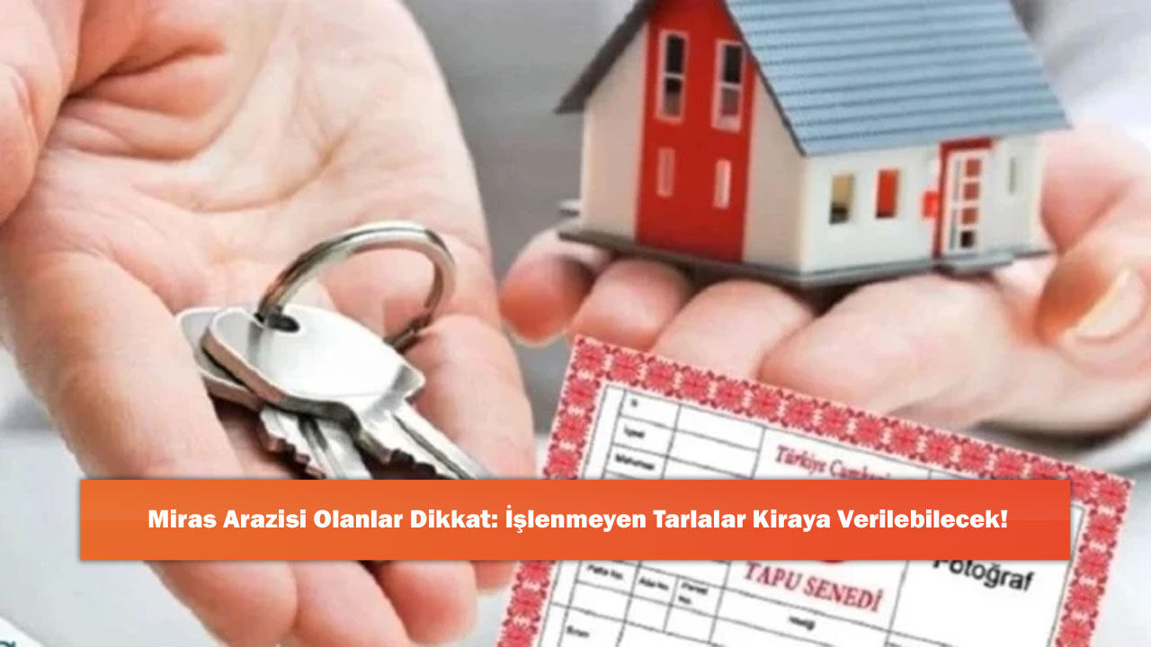 Miras Arazisi Olanlar Dikkat: İşlenmeyen Tarlalar Kiraya Verilebilecek!