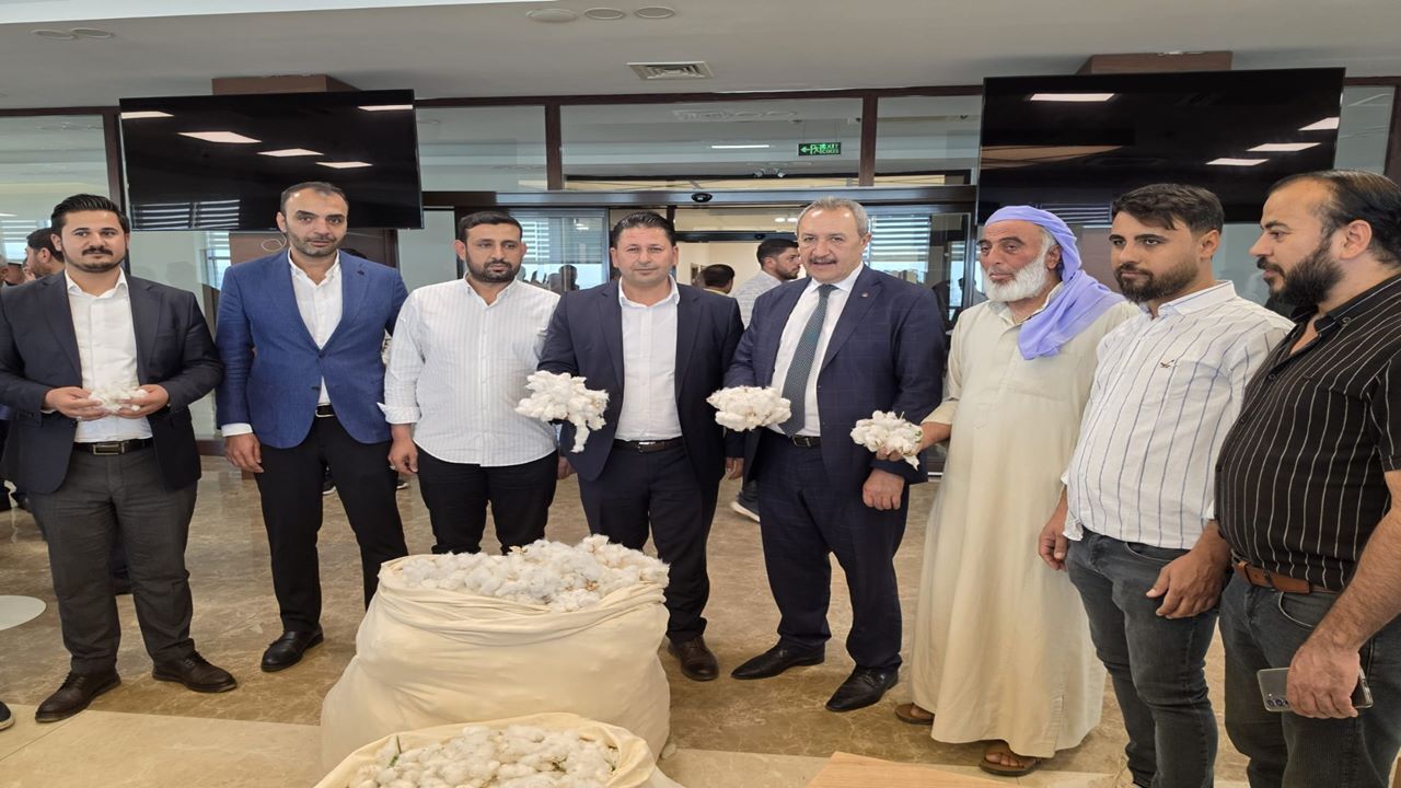 Şanlıurfa’da 'Beyaz Altın' görücüye çıktı: İlk mahsulün fiyatı dudak uçuklatırken çiftçinin gözü de ihaledeydi