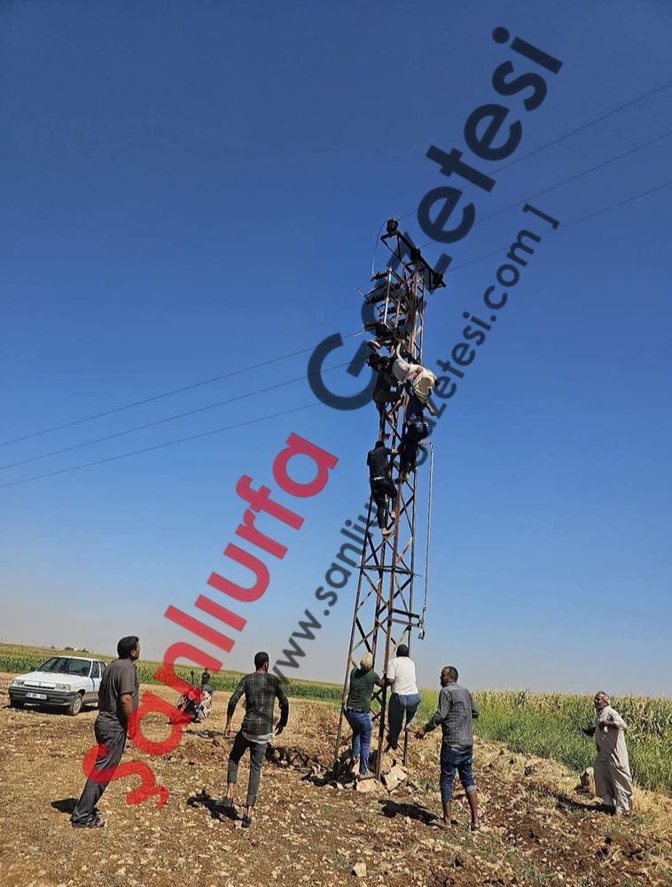 Şanlıurfa Elektrik Direği1