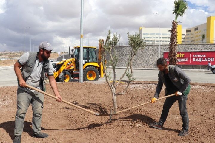 Şanlıurfa’da Şehir Hastanesi Yolunda Sona Gelindi! İşte Son Durum (1)
