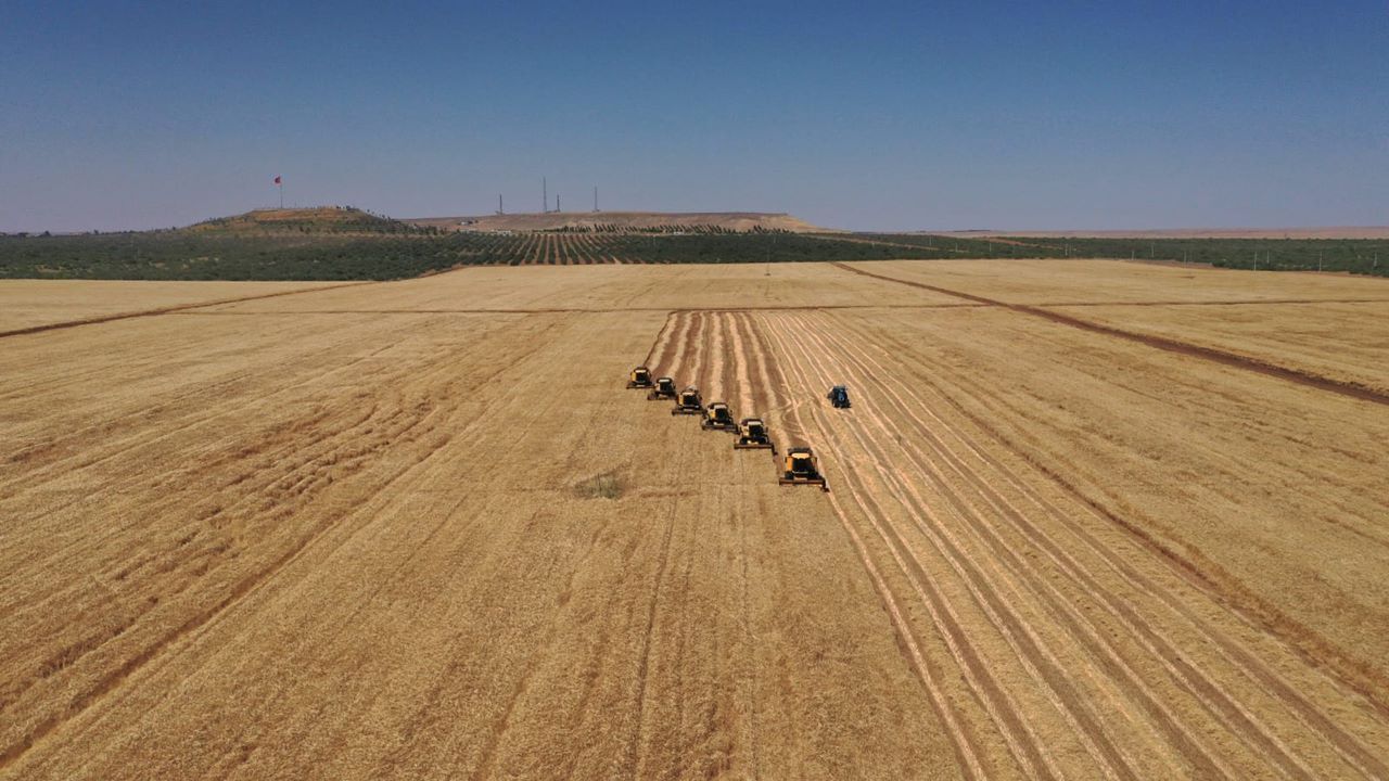 TİGEM Şanlıurfa için o cihaz alımı için düğmeye bastı: Firmaların gözü bu tarihte