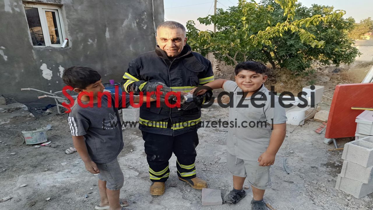 Şanlıurfa İtfaiyesinden yüreklere dokunan kurtarış: “Ölmekten son anda kurtarıldı”
