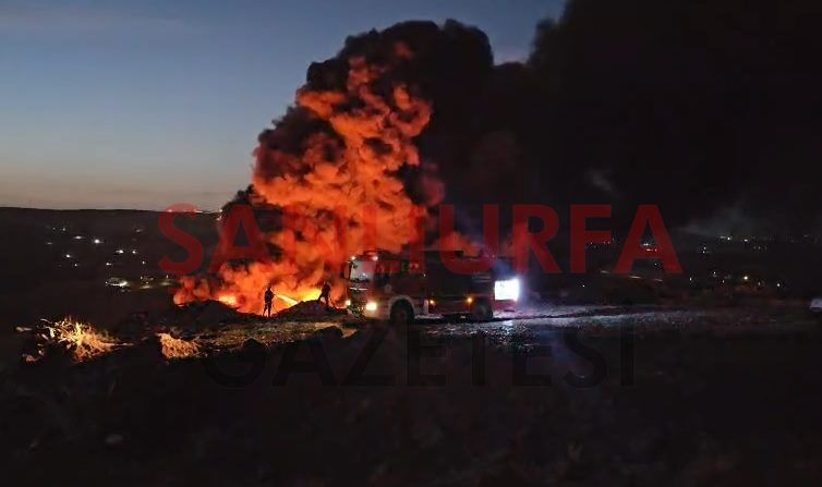 Şanlıurfa’da korkutan yangın! Alevler yerleşim alanına yaklaştı