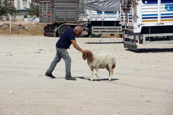 Aw812889 04 (Küçük)