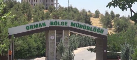 Şanlıurfa Orman Fidanlık Müdürlüğü İhaleye Çıkıyor: Son Gün 2 Kasım!