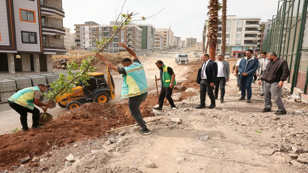 Karaköprü’de Ağaçlandırma Seferberliği! 2027 Planı Şimdiden Hazırlanıyor