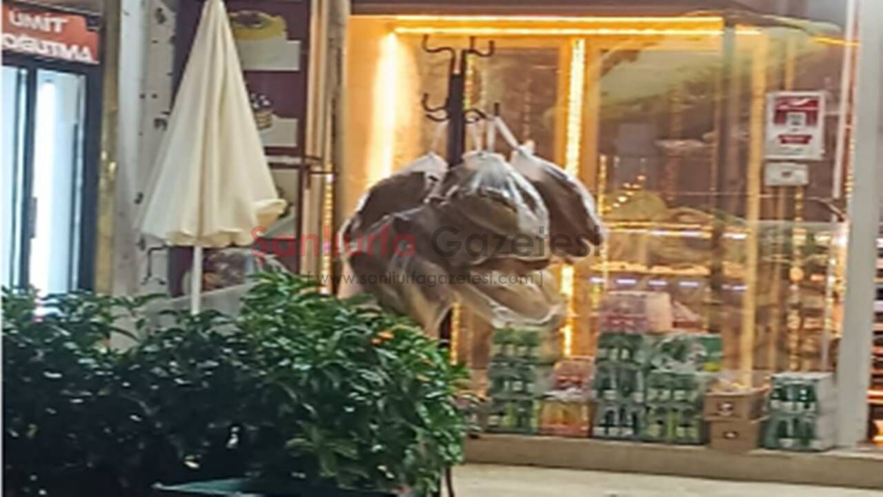 Şanlıurfa’da örnek dayanışma: Askıda ekmek uygulaması ihtiyaç sahiplerine umut oluyor