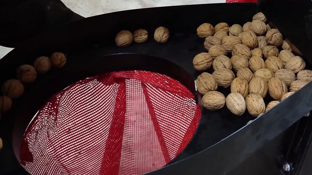 Şanlıurfa baklavasına yerli transfer: Sanayinin ceviz ihtiyacı Dinar’dan karşılanıyor