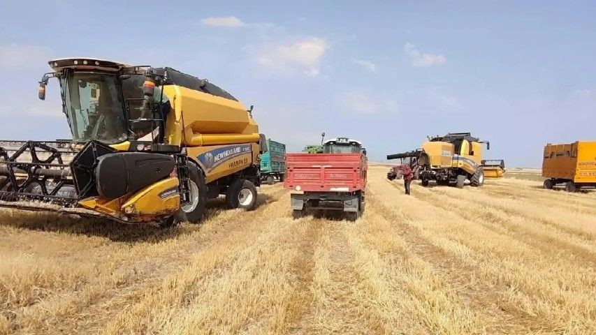 Güneydoğu’dan Dünyaya 3,3 Milyon Ton Hububat ve Gıda Ürünü