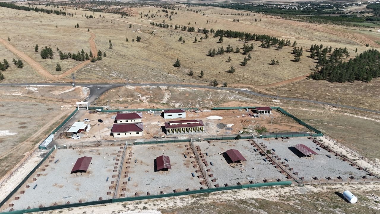 Şanlıurfa’da Atık Gıdalar Mamaya Dönüşecek! İşte Detaylar