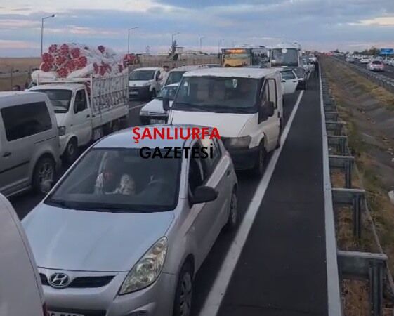 TEKNOFEST yoğunluğu Şanlıurfa-GAP Havalimanı yolunu kilitledi
