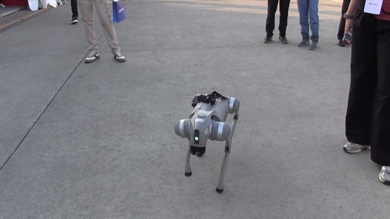 TEKNOFEST Güneydoğu’da robot köpek dans etti, kalp yaparak çocukların sevgilisi oldu!