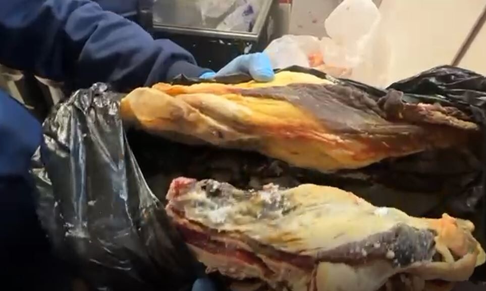 Şanlıurfa’da Denetimde Ortaya Çıktı! 170 Kilogram Bozulmuş Et Ele Geçirildi (1)