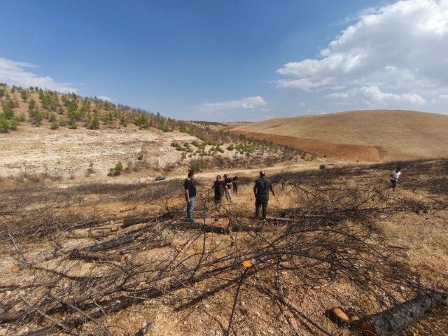Şanlıurfa Birecik'te son durum ne? Erozyon Kontrolü Uygulama Proje Sahası’nda yerinde inceleme