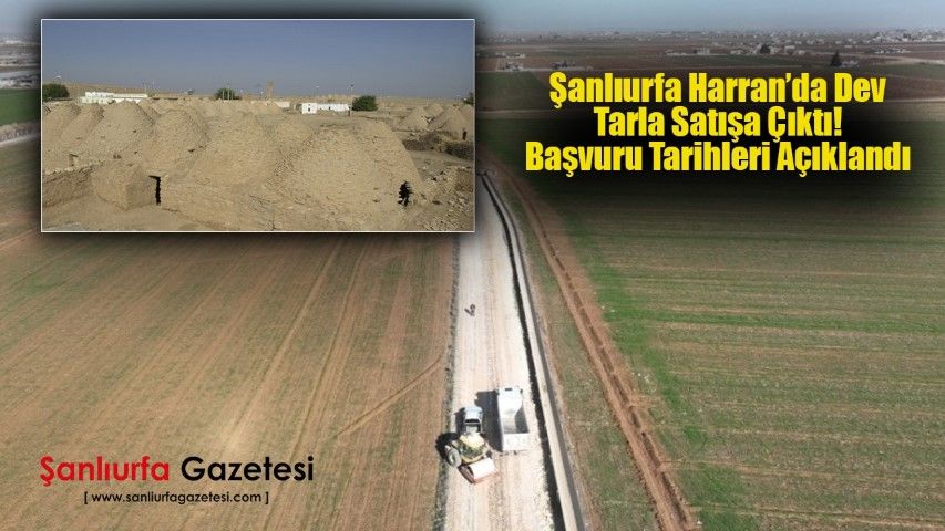 Şanlıurfa Harran’da Dev Tarla Satışa Çıktı! Başvuru Tarihleri Açıklandı