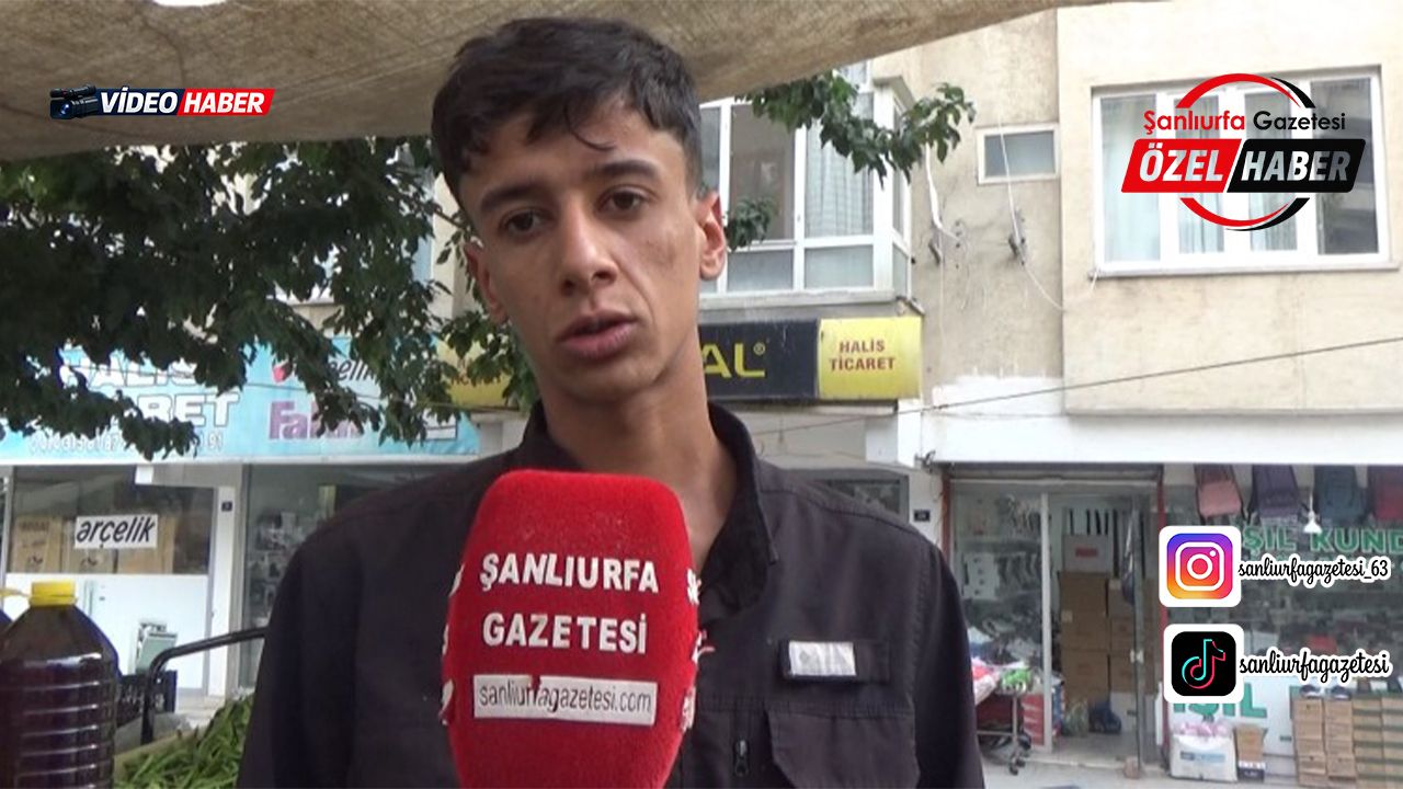 Şanlıurfa'da vatandaşlar ucuzlayınca almak için birbiriyle kapıştı: Taze fasulye fiyatlarında son durum ne?